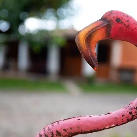 - Il Gelso דירה Camisa