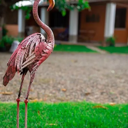 - Il Gelso דירה Camisa