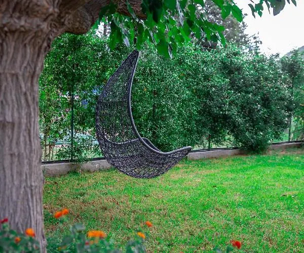 - Il Gelso * Камиза