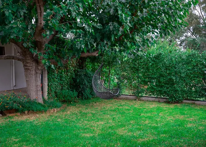 - Il Gelso * Камиза