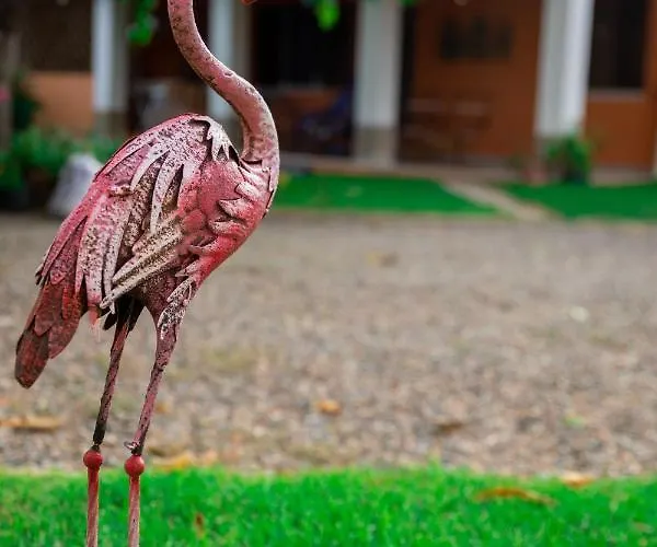 - Il Gelso Апартаменты Камиза