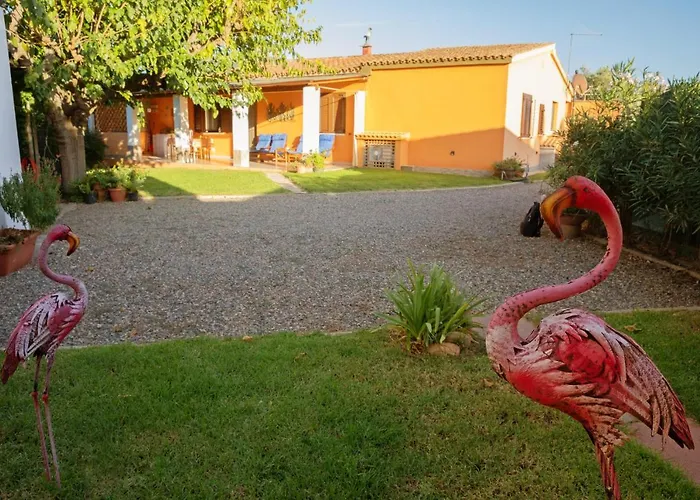 - Il Gelso Камиза